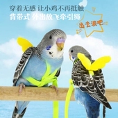 鹦鹉放飞绳超轻薄不伤脚虎皮牡丹玄风小鸟用小天使背带遛鸟牵引绳