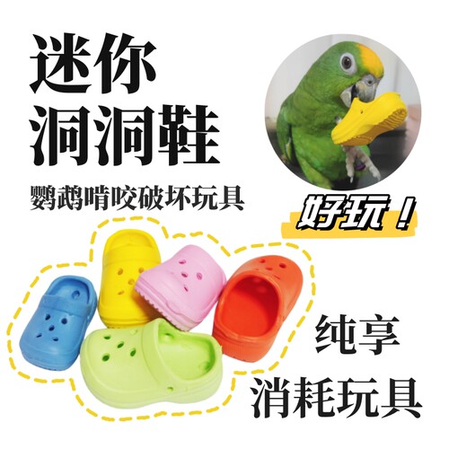 鹦鹉迷你洞洞鞋玩具笼外互动训练