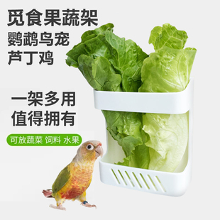 鹦鹉喂食蔬菜盒子 铁丝笼子亚克力鸟笼芦丁鸡食物菜盒