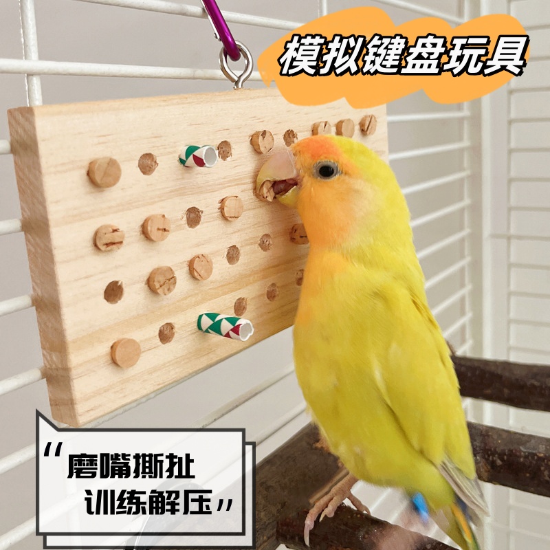鹦鹉模拟键盘啃咬玩具拔木塞解压