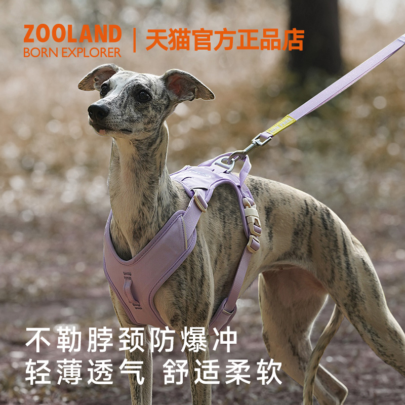 ZOOLAND狗狗胸背牵引绳遛小中大型犬比熊柯基法斗边牧博美绳子