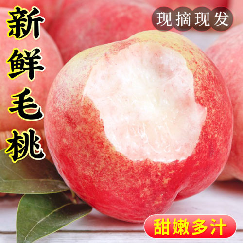 【现摘现发】新鲜毛桃脆甜多汁
