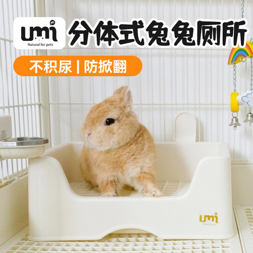 兔子厕所龙猫荷兰猪三角小宠物