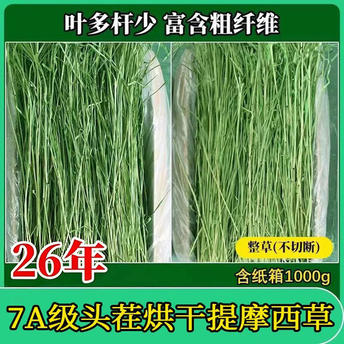 烘干提摩西草荷兰猪龙猫兔牧草