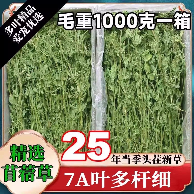 25年新草紫花苜蓿草毛重1kg兔子苜宿草龙猫豚鼠干草牧草兔草兔粮,宠物/宠物食品及用品,兔兔干草,淘宝优惠券,粉丝福利购,淘宝优惠卷