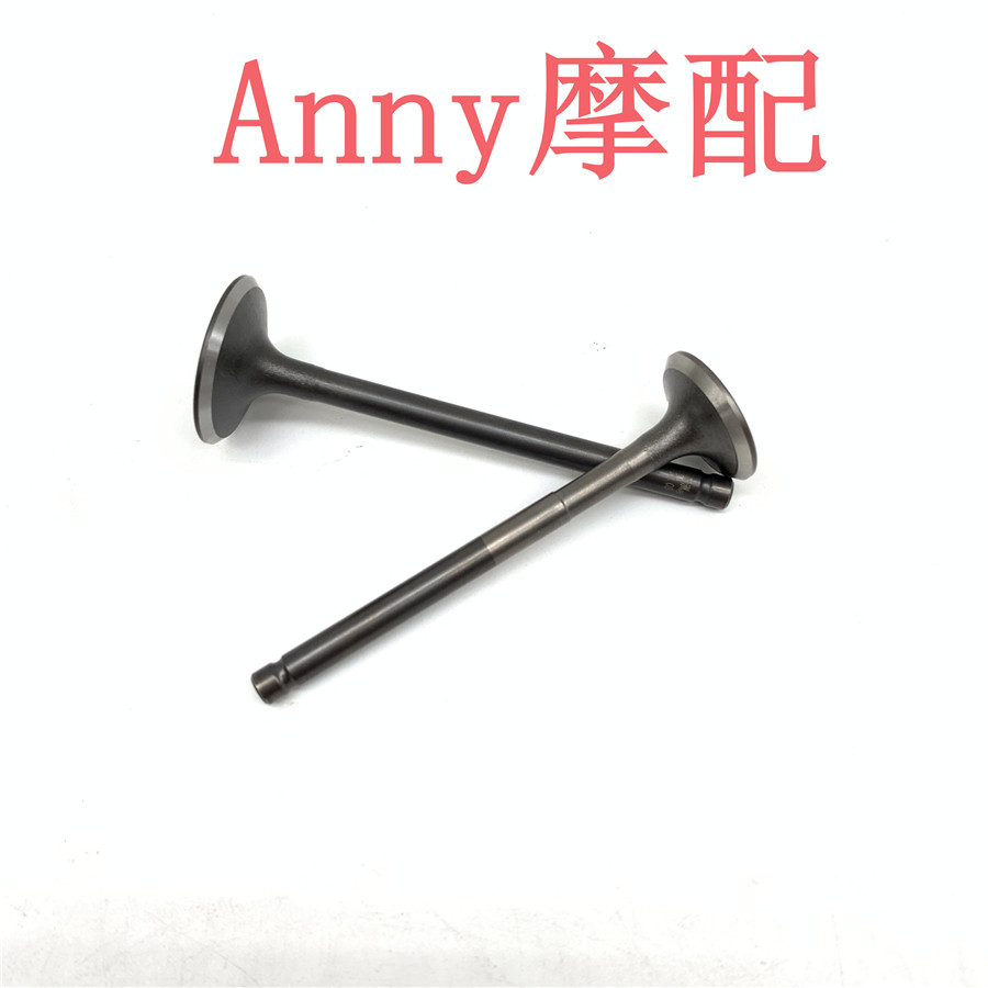 适用五羊甲鱼佳御WH110T-A新佳御进气门排气门发动机气门
