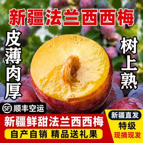 正宗新疆法兰西西梅新鲜水果李子伽师特产孕妇辅食应季整箱喀什甜