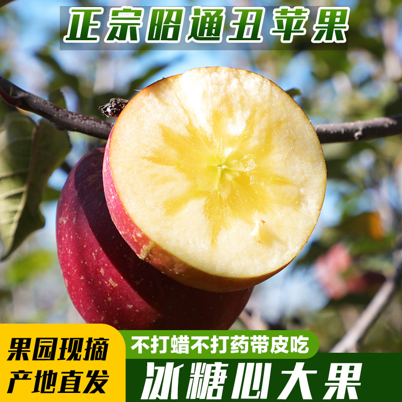 云南昭通丑苹果冰糖心当季新鲜水果高山苹果10斤整箱非盐源,水产肉类/新鲜蔬果/熟食,苹果,淘宝优惠券,粉丝福利购,淘宝优惠卷