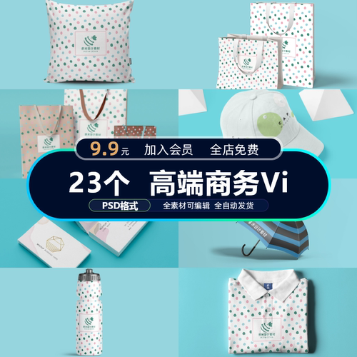 高端商务文创品牌企业名片会员卡VIP效果展示Vi提案智能贴图样机