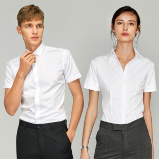 西装 253款 棉质垂感小众短款 衬衣男女同款 衬 防皱通勤职业商务衬衫