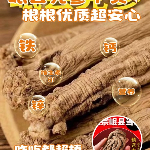 正宗岷县党参大条