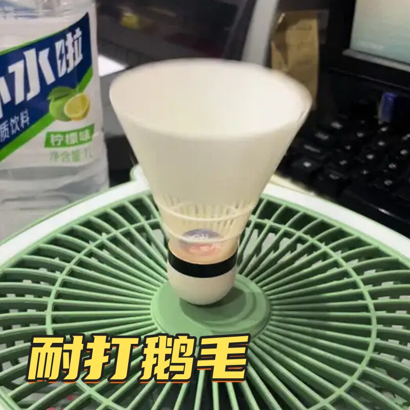 耐打鹅毛羽毛球正品3/6/1