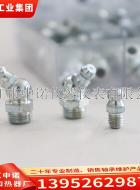 SKF润滑脂喷嘴LAGS8/LAGN120设备润滑点润滑脂枪中诺正品斯凯孚