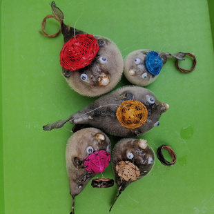 竹编帽河豚鱼气鼓鱼标本海洋生物鱼皮家居墙饰礼物汽车装 饰挂件