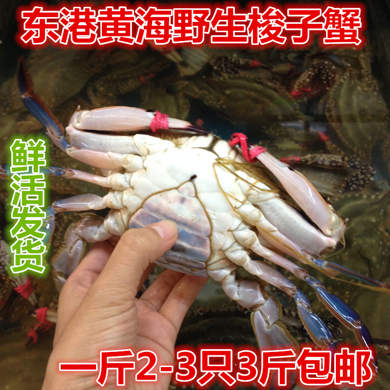 丹东东港特产大母飞蟹野生螃蟹