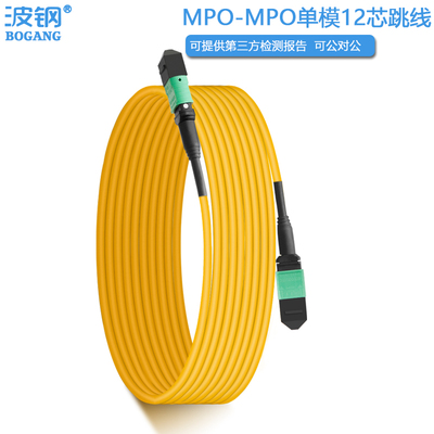 MPO-MPO跳线波钢单模8芯12芯24芯