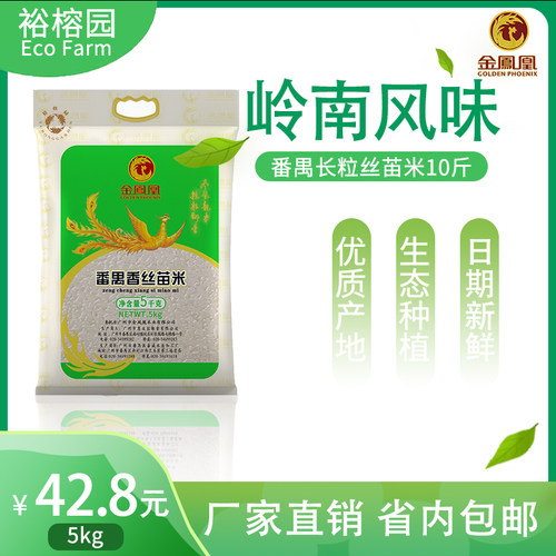 南方直销当季番禺丝苗5kg大米米