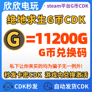 PUBG绝地求生11200G币CDK兑换码 吃鸡G币G金点卷金币余额皮肤CDK