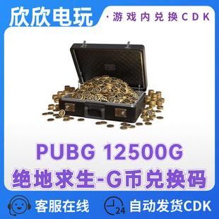 PUBG绝地求生12500G币充值CDK兑换码 COIN币直冲 吃鸡G金币货币G