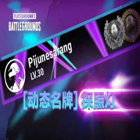 PUBG绝地求生探照灯ID卡皮肤CDK兑换码动态名牌卡名字名片端游
