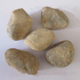 拍 每堆一元 缅甸天然翡翠原石半明玉石毛料老场 大马砍50元