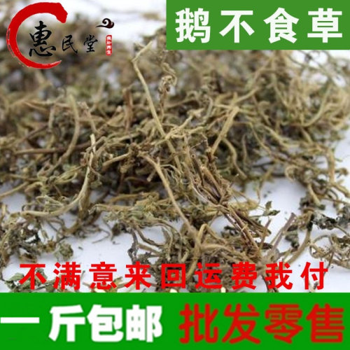 惠民堂品质鹅不食草 饿不食草 鹅不食草500克包邮农产品初加工