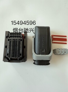 15494596德尔福 连接器58针