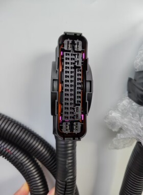 1928405782BOSCH博世WCBS46PIN 防水 汽车接插件线束