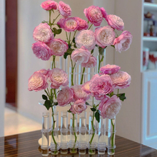 原创水培试管花瓶折叠玻璃网红ins水培花器透明一排花瓶欧式水养