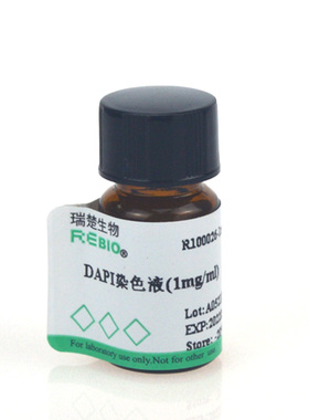 包邮DAPI染色液(1mg/ml) 1ml 瑞楚生物 R100026细胞质细胞核染色