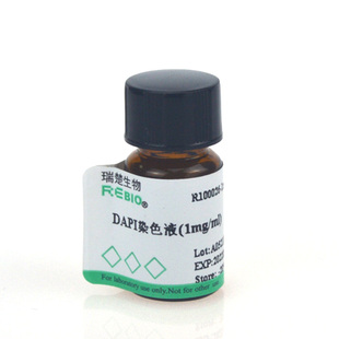 包邮DAPI染色液(1mg/ml) 1ml 瑞楚生物 R100026细胞质细胞核染色