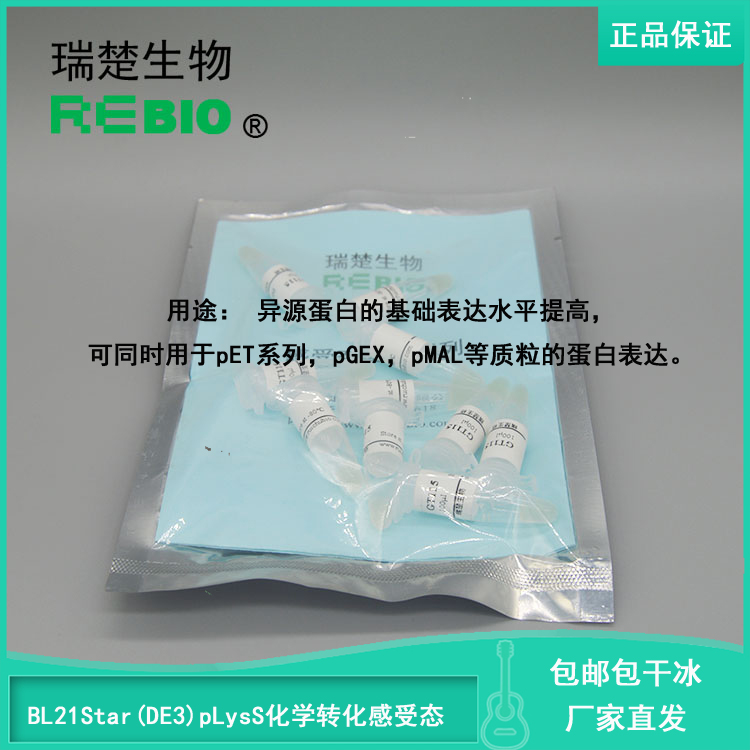 顺丰包邮包干冰BL21Star(DE3)pLysS化学转化感受态细胞10支20支