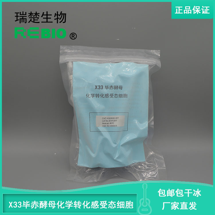 包邮包干冰含票X33毕赤酵母化学转化感受态细胞10支20支50支100支