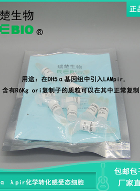 包邮 包干冰 DH5α λpir化学转化感受态细胞  R09029