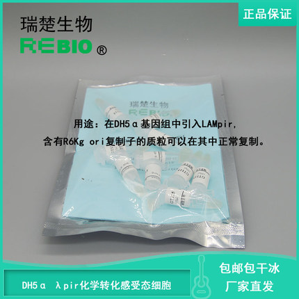 包邮 包干冰 DH5α λpir化学转化感受态细胞  R09029