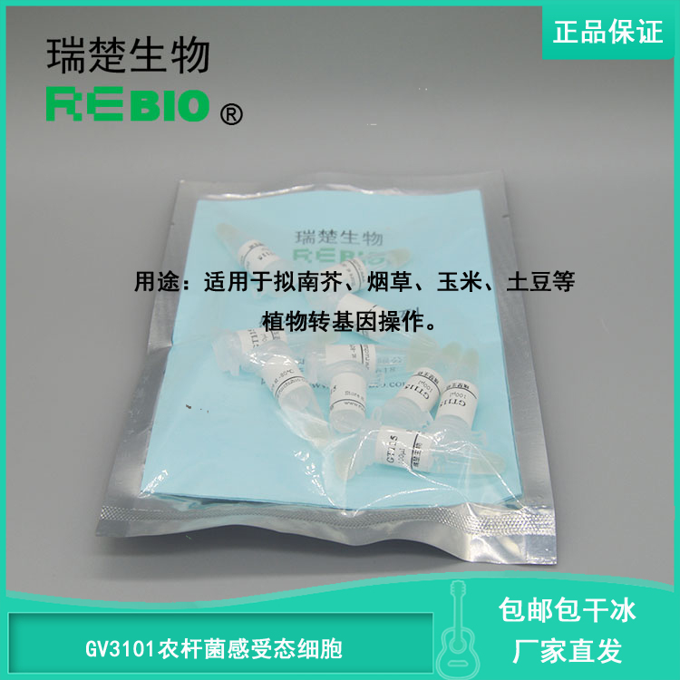 包邮包干冰GV3101农杆菌感受态细胞根癌农杆菌10支20支50支100支
