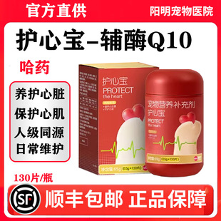 哈药护心宝猫咪狗狗宠物用辅酶Q10气喘保护心脏肥大调理老年犬猫