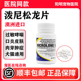 澳洲进口泼尼松龙片迈微舒宠物猫咪狗狗抗止炎痒过敏口炎腔肉芽肿