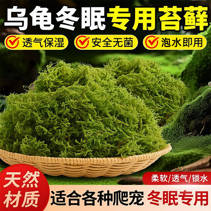 水苔干苔藓爬宠乌龟冬眠垫材