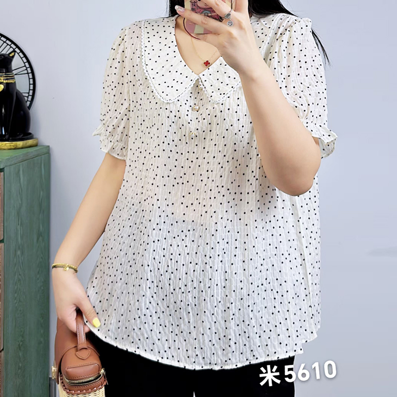 大码女装娃娃领波点短袖百搭T恤