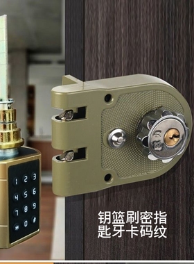 智能锁芯指纹密码刷卡蓝牙适用牛头锁老虎锁假美标电控锁改智能锁