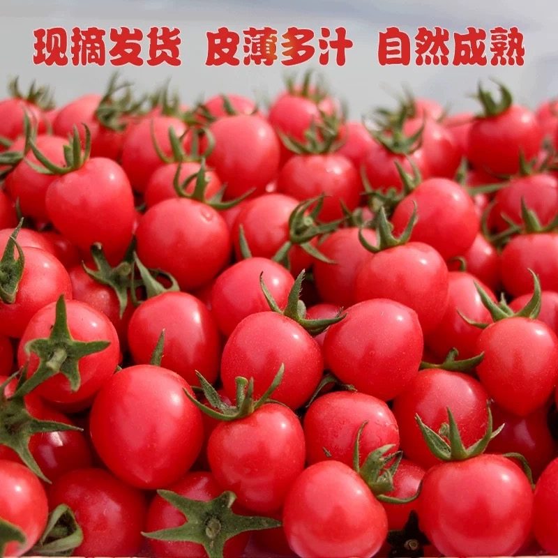 山东千禧圣女果小番茄水果新鲜小柿子樱桃番茄西红柿这批熟度好,水产肉类/新鲜蔬果/熟食,桃,淘宝优惠券,粉丝福利购,淘宝优惠卷
