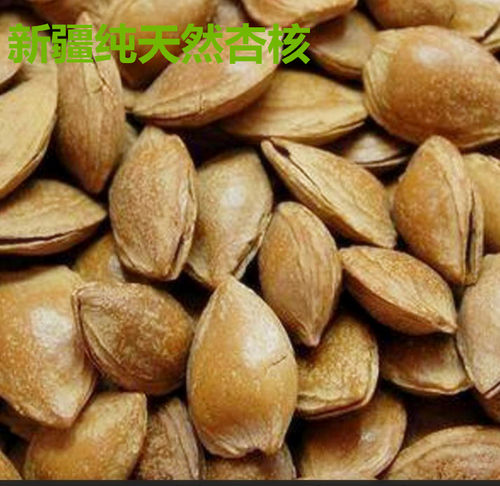 新疆特产干果轮胎纯天然杏核500g