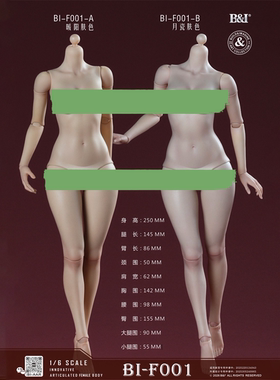 预售定金 1/6   B&I BI-F001 创新可动女素体