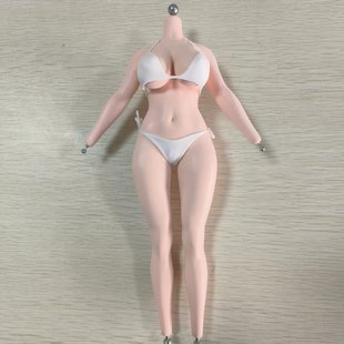 先行预定 1/6 健美体 大胸 艺美包胶素体 铂金硅胶