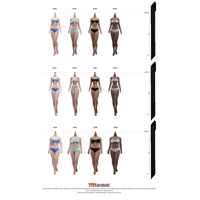 PH1/6S34S35S36S38S39