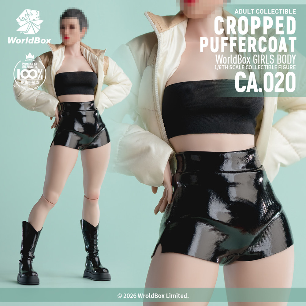 现货 Worldbox 1/6 CA020 奶咖黑皮羽绒套装可动人偶服装模型配件