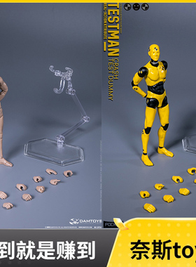 现货 DAMTOYS 1/12 可动素体 DPS01 绘画人&DPS02 测试人