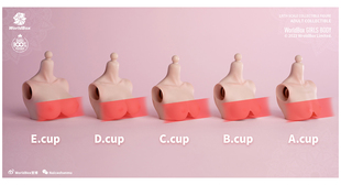 现货 Worldbox 耐操1/6女素体大胸配件替换件 白肤 浅麦色 配件包