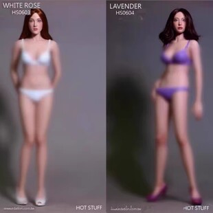 现货 火红玩具 HOT STUFF HS0601234 1/6 包胶性感女素体共4款